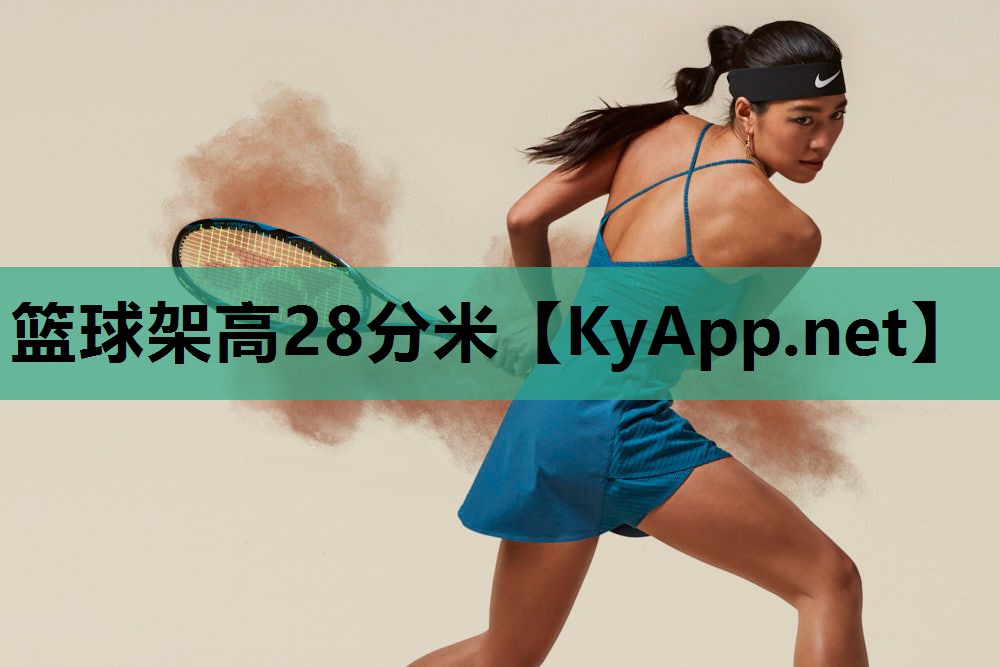 篮球架高28分米