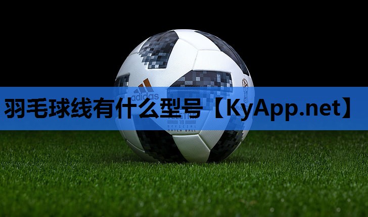 羽毛球线有什么型号