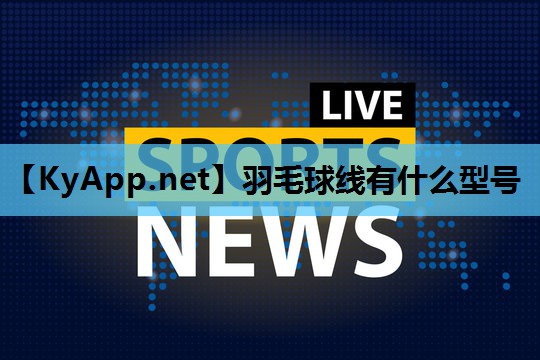 羽毛球线有什么型号