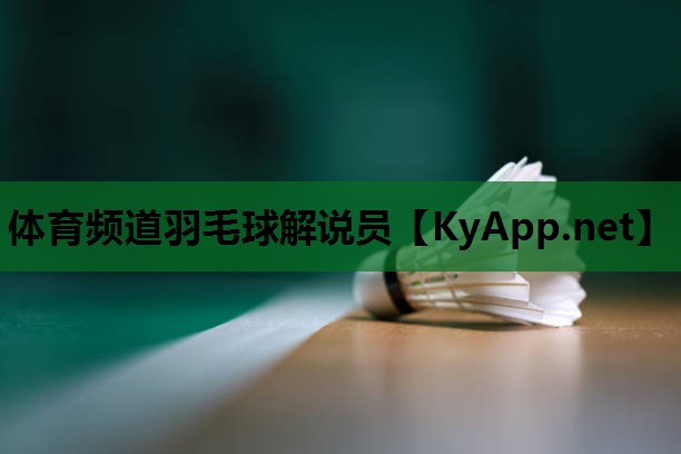 体育频道羽毛球解说员