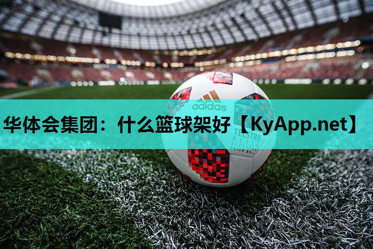 什么篮球架好