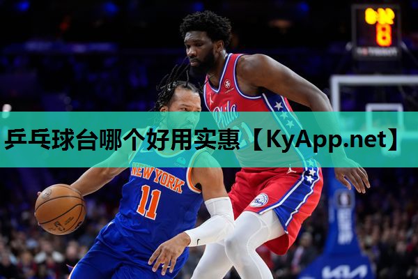 乒乓球台哪个好用实惠
