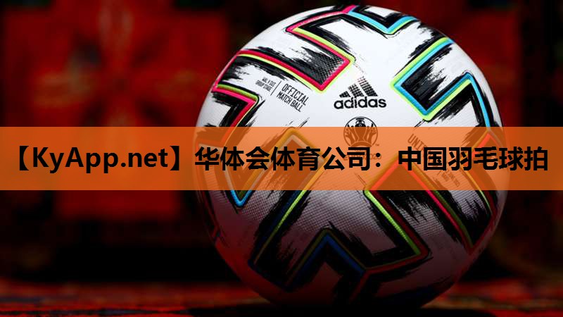中国羽毛球拍
