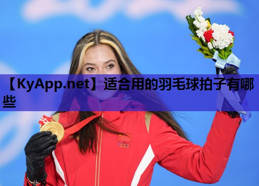 适合用的羽毛球拍子有哪些