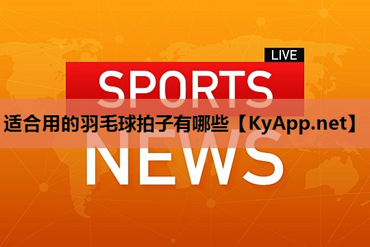 适合用的羽毛球拍子有哪些