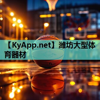 潍坊大型体育器材