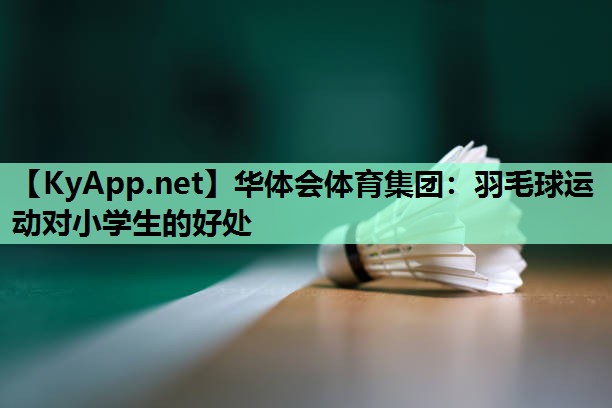 羽毛球运动对小学生的好处