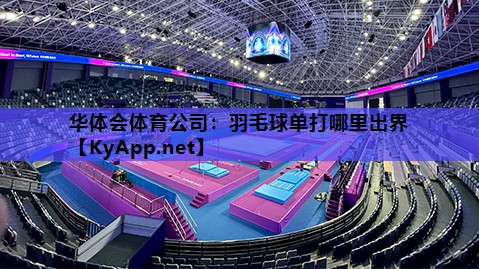 羽毛球单打哪里出界